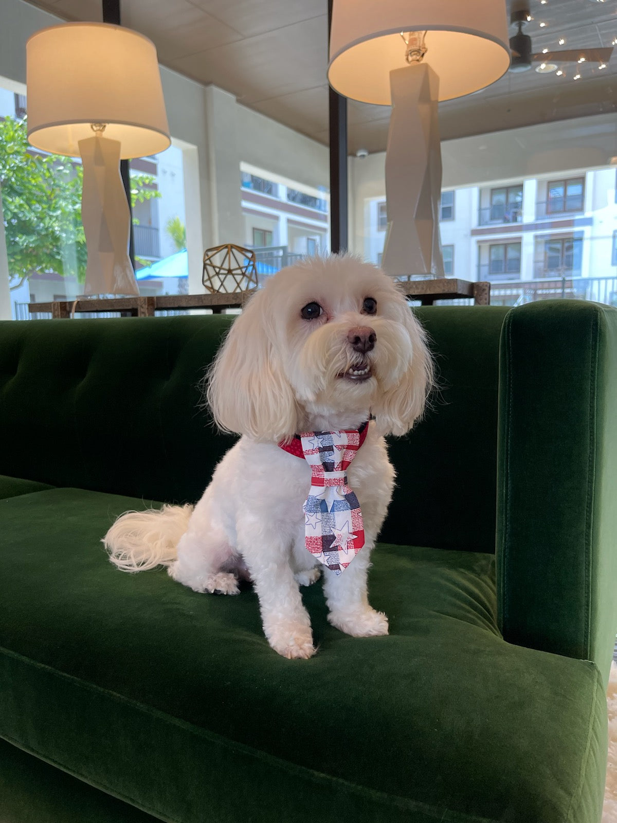 Star Spangled Tie