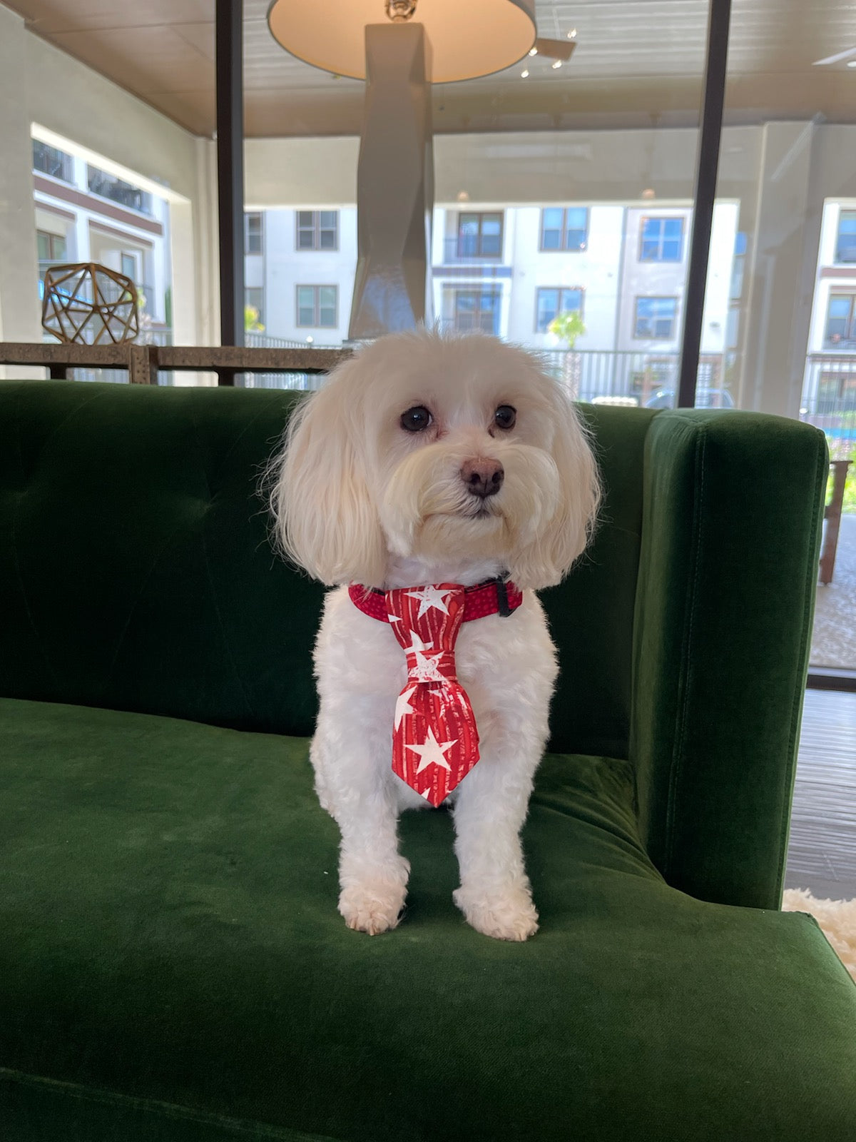 Super Star Tie