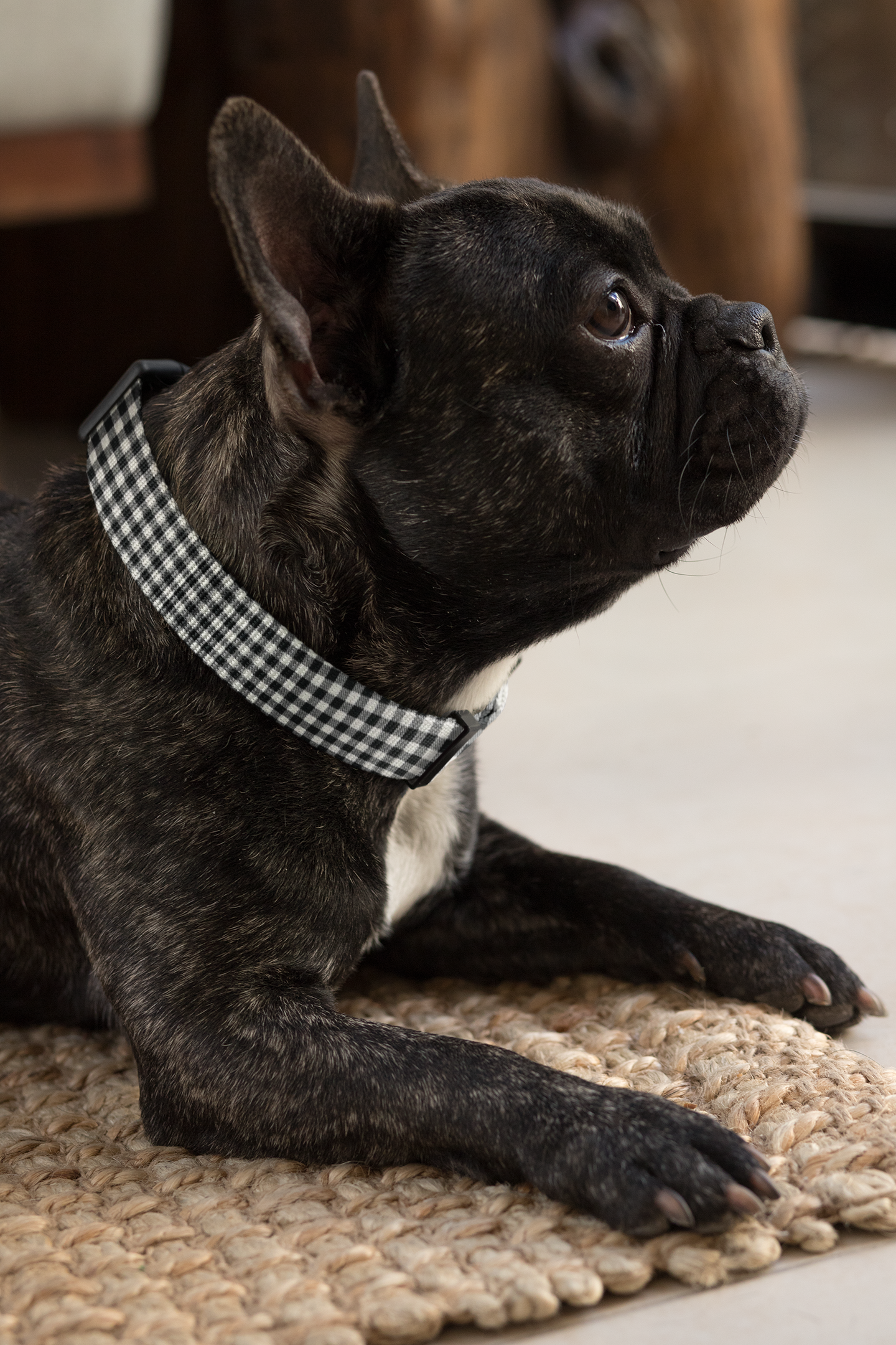 Black and White Check Collar