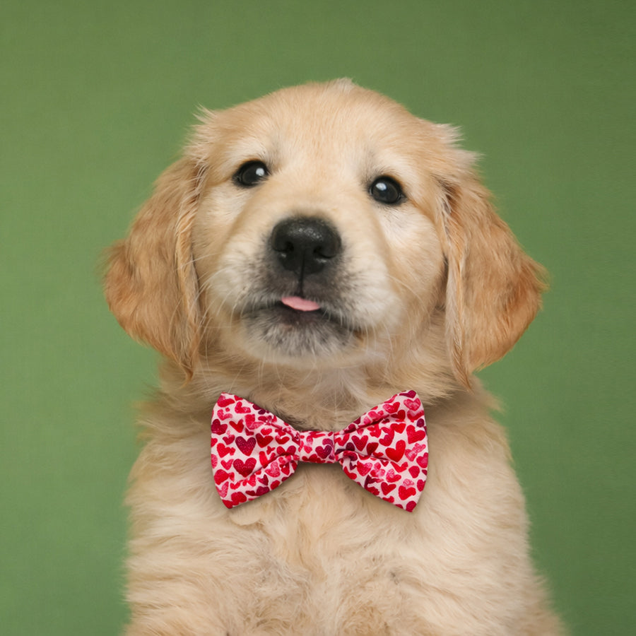 Valentine's Day Collection