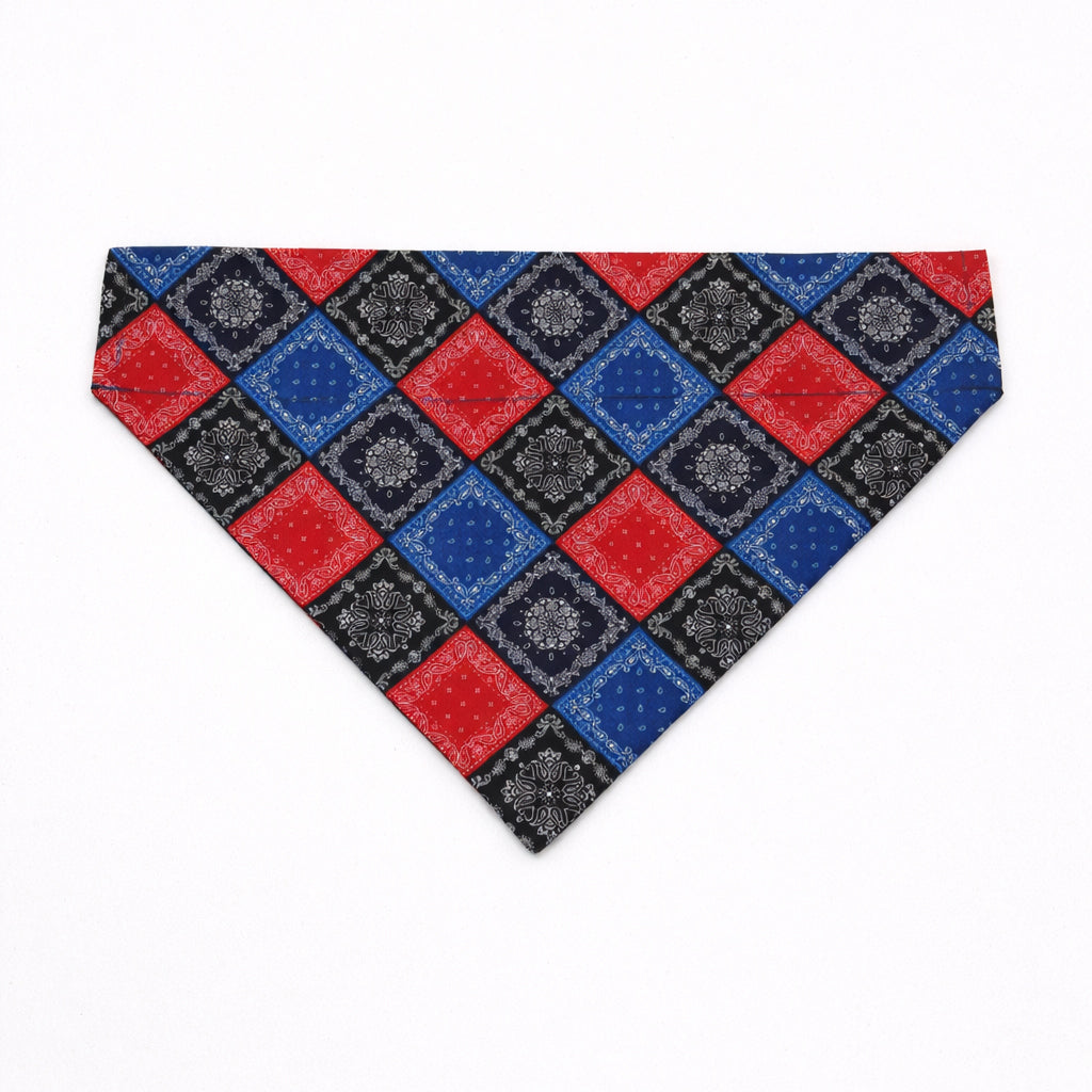 Georgia Bandana
