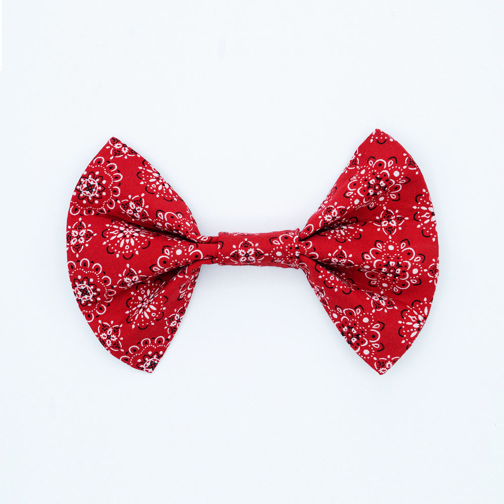 Carolina Bowtie