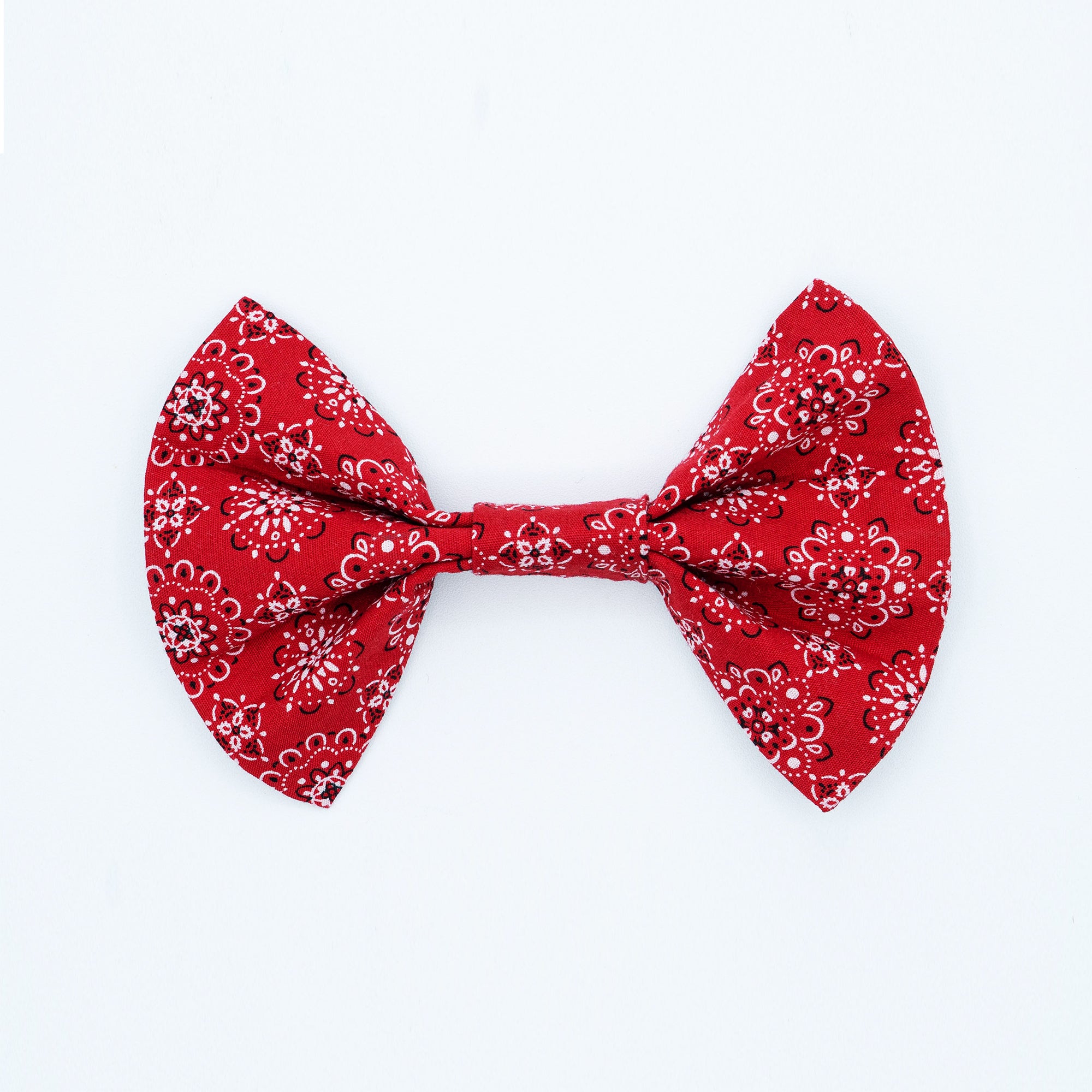Carolina Bowtie