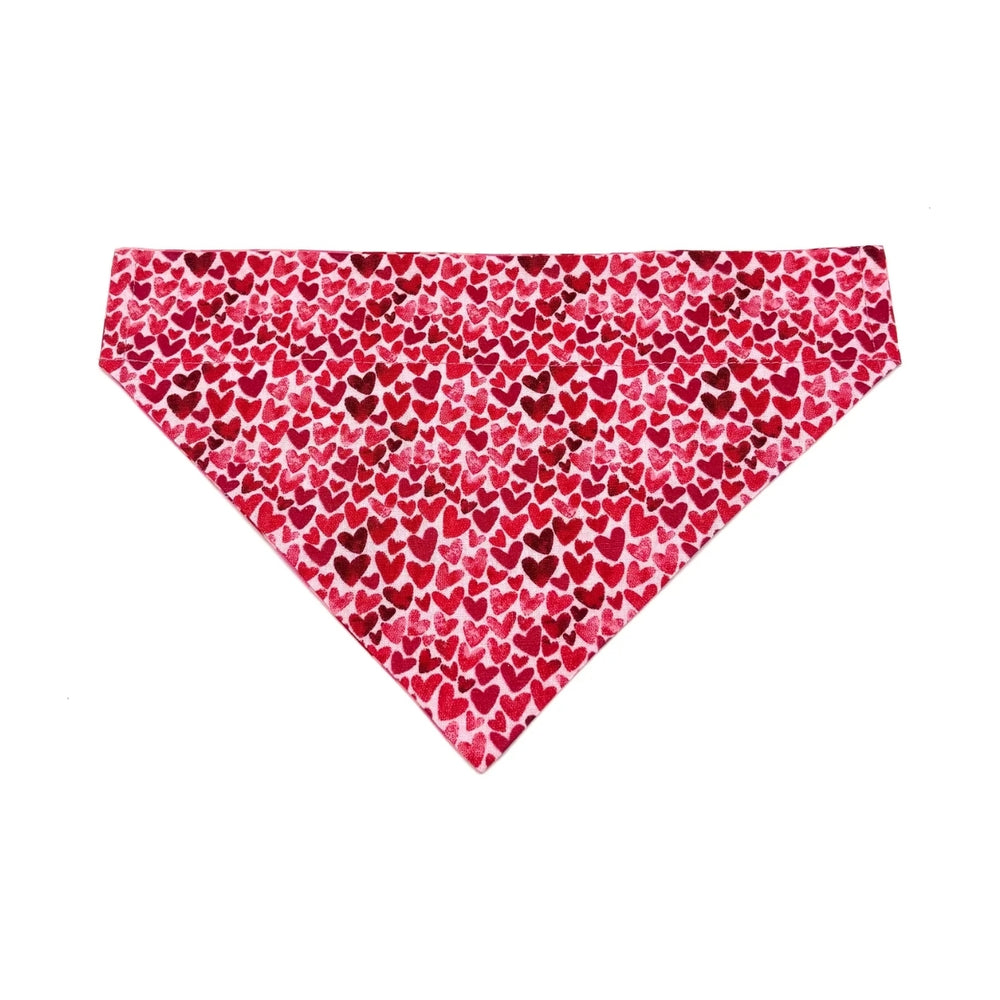 Be Mine Red Hearts Slip over Collar Bandana