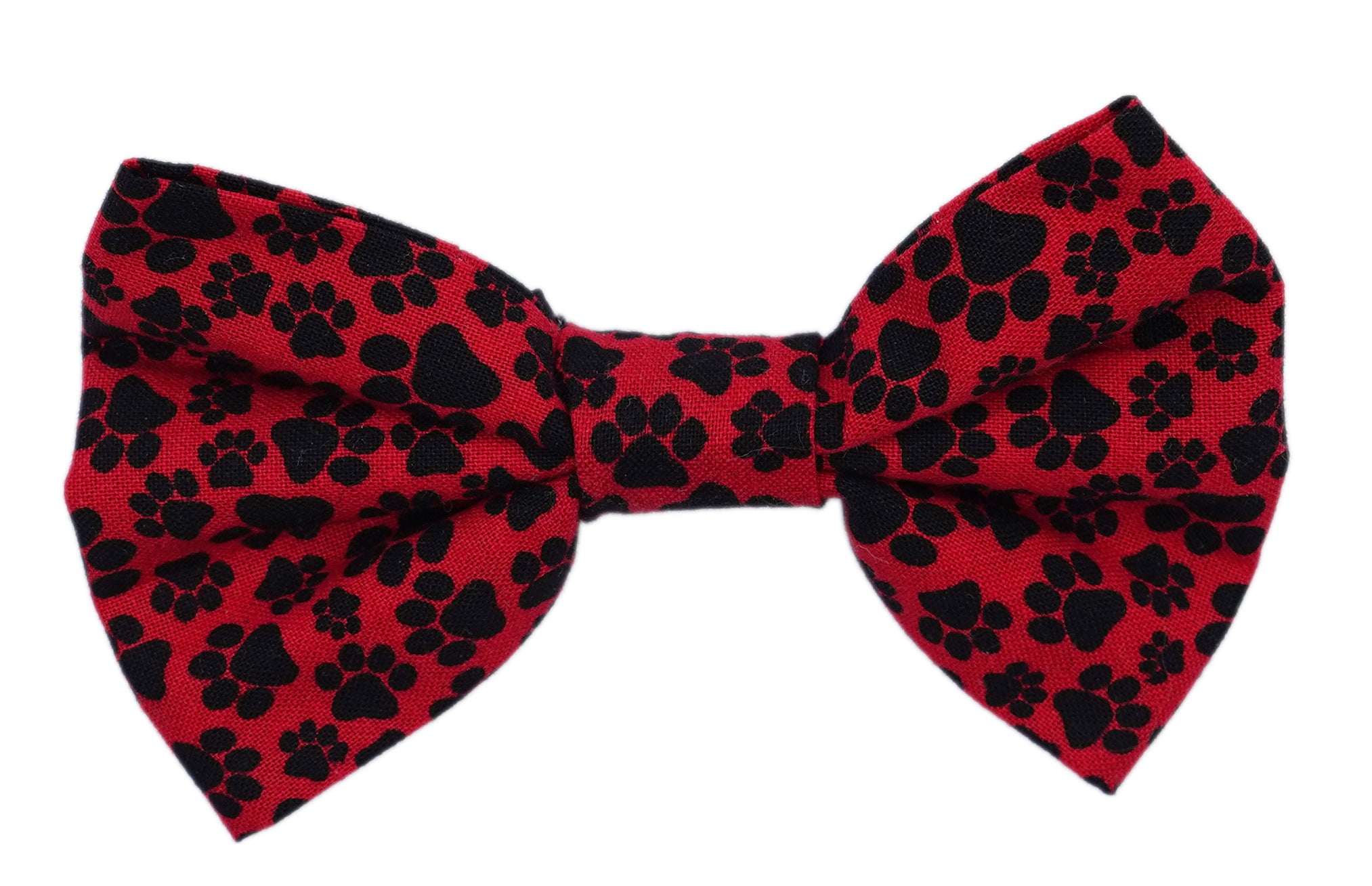 Paws on Red Bowtie