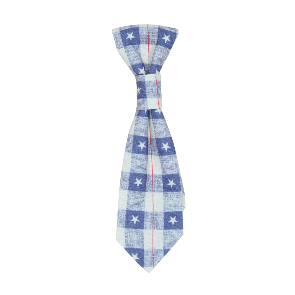 Rustic Stars in Box Tie