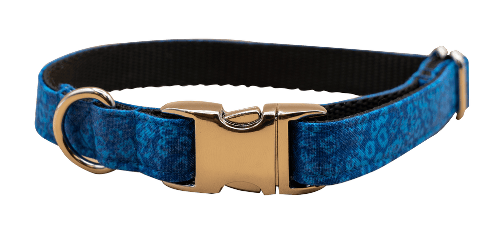 Bluey Collar