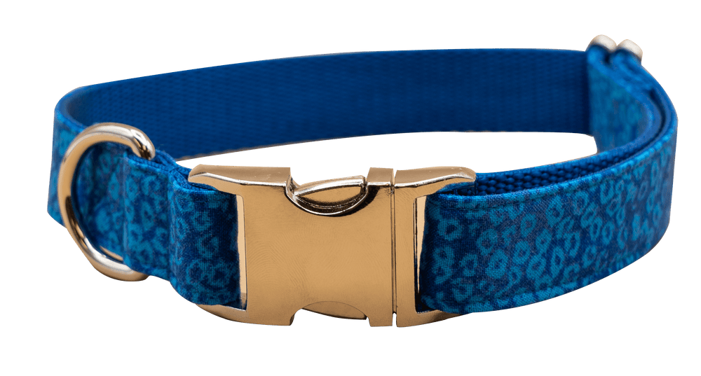 Bluey Collar