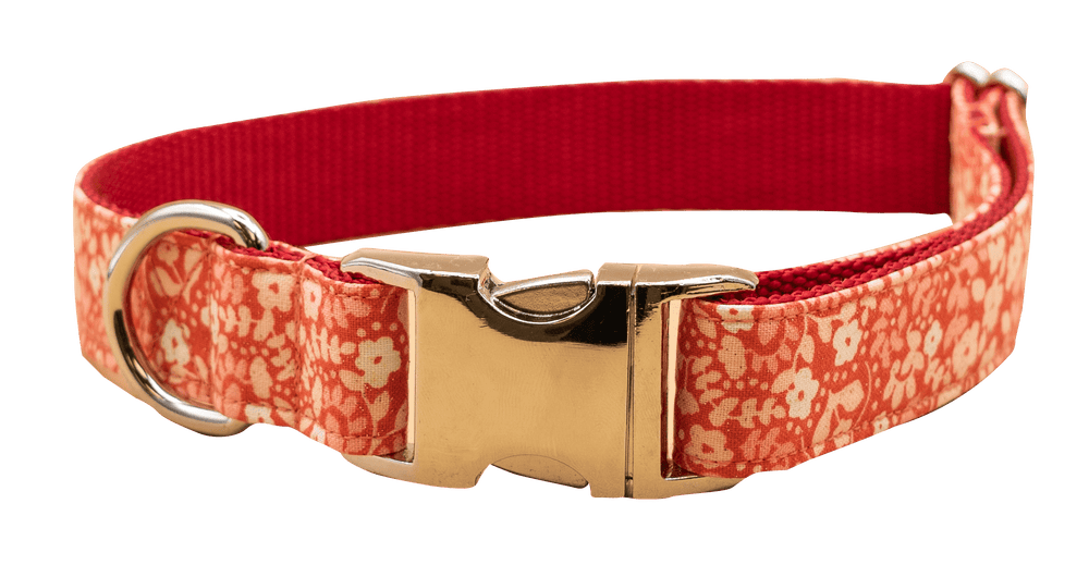 Peaches And Cream Collar