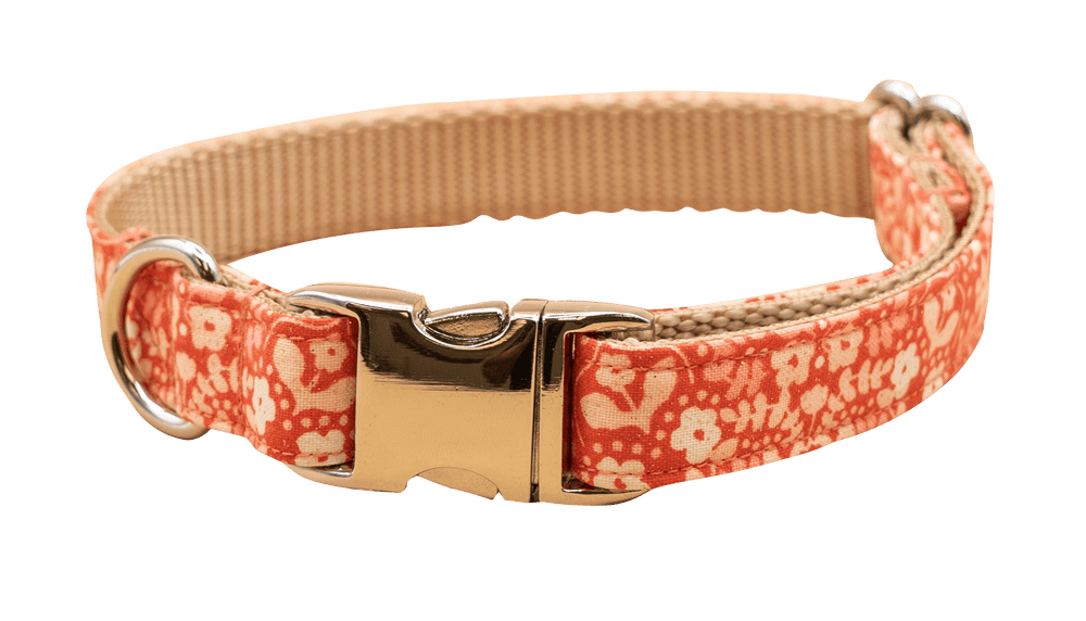 Peaches And Cream Collar