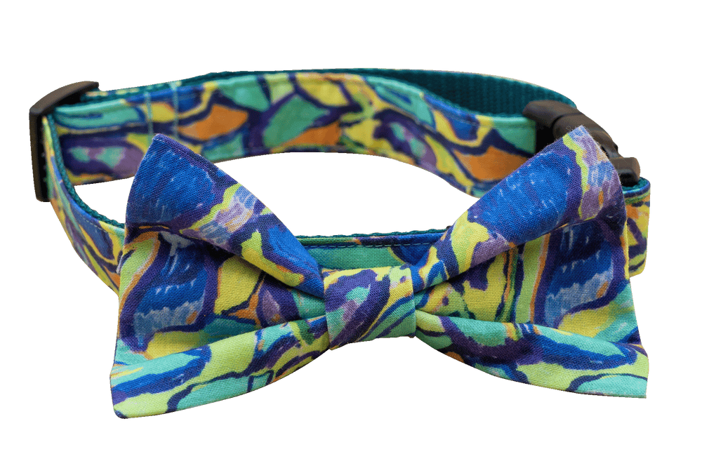 Aloha Bowtie Collar