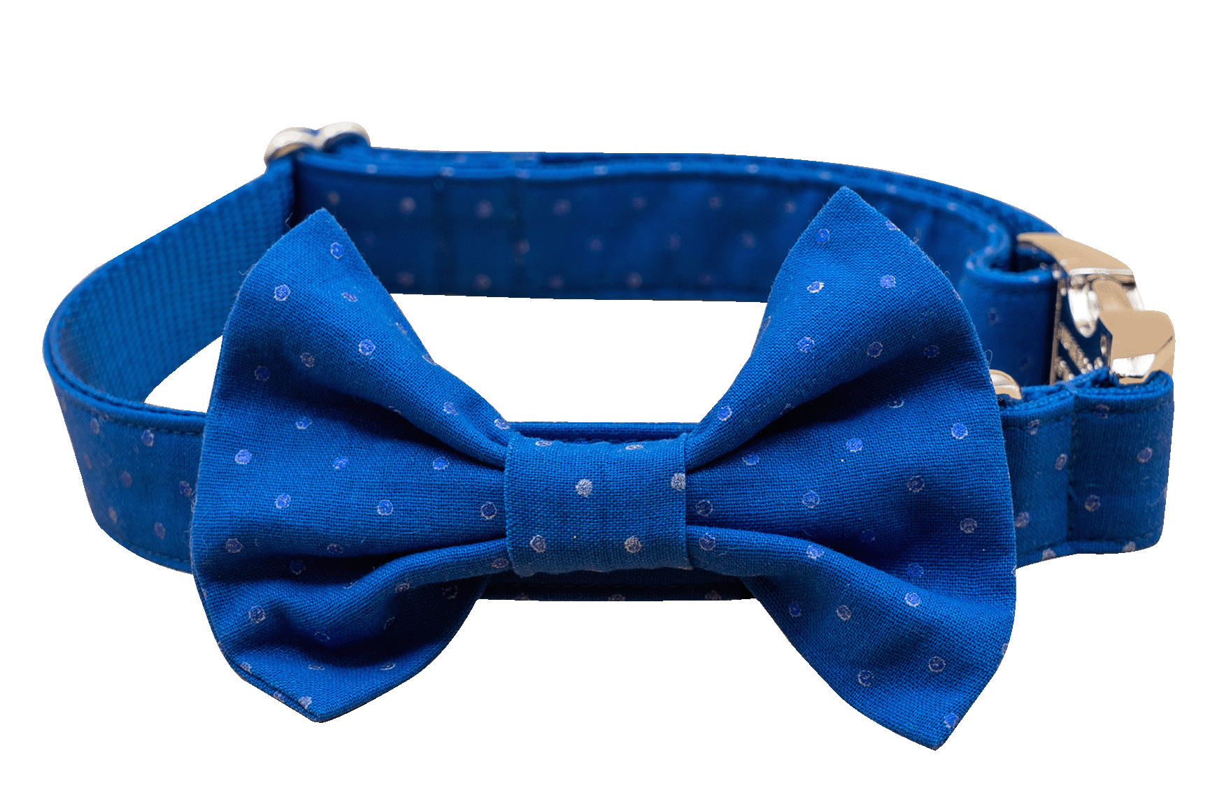 Royal Blue Dot Bowtie Collar