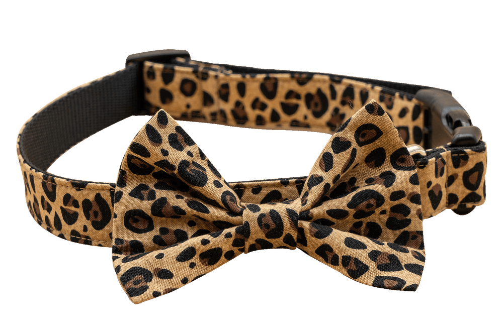 Tan Cheetah Bowtie Collar