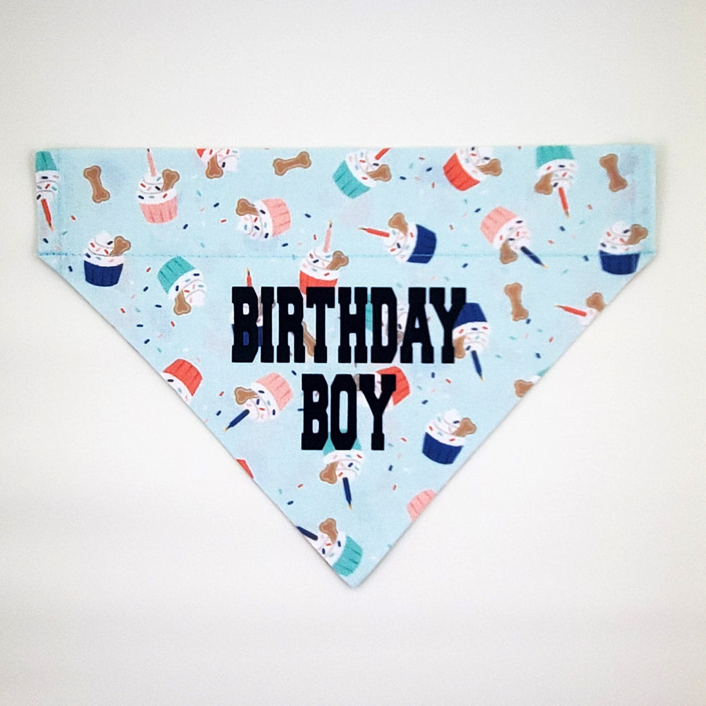 Birthday Boy Slip Over Collar Bandana
