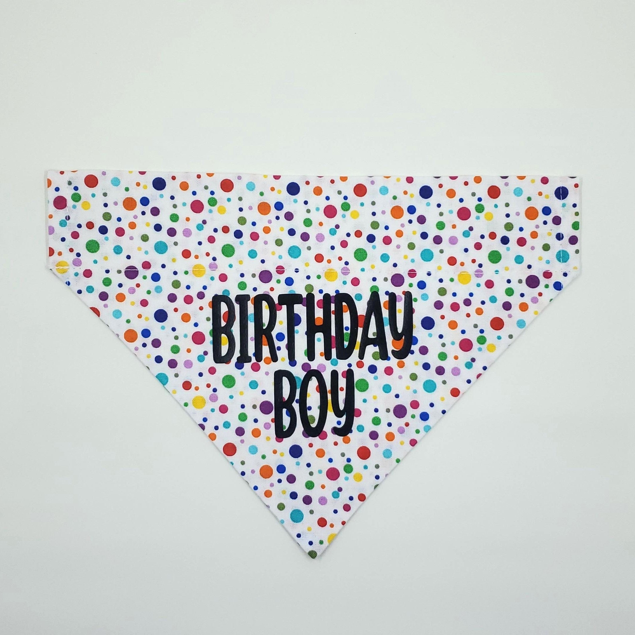 Birthday Boy Slip Over Collar Bandana