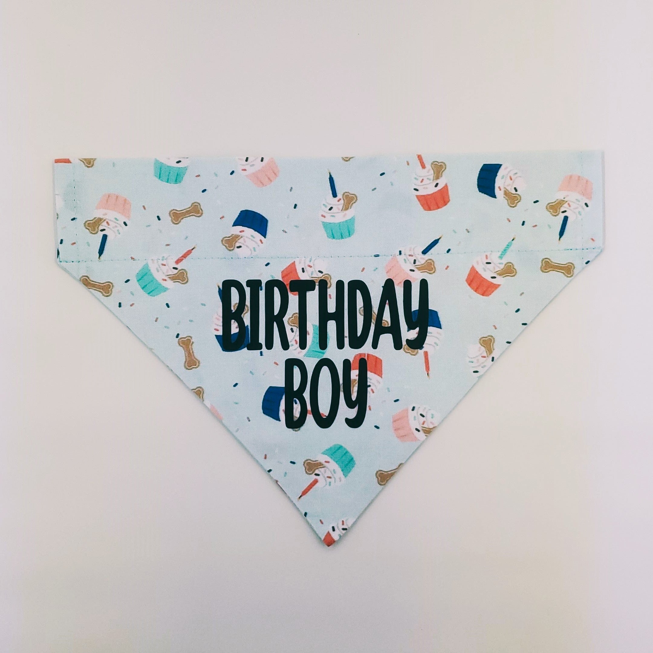 Birthday Boy Slip Over Collar Bandana