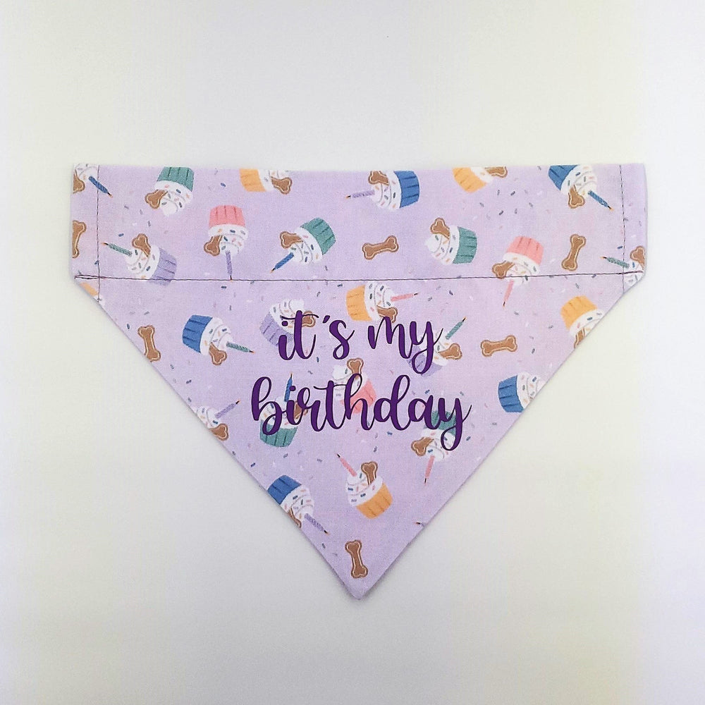 It's my Birthday Slip Over Collar Bandana