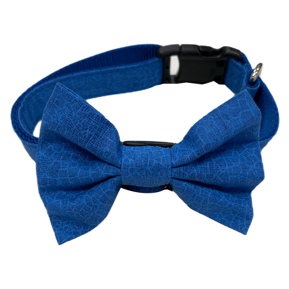 French Blue Bowtie Collar