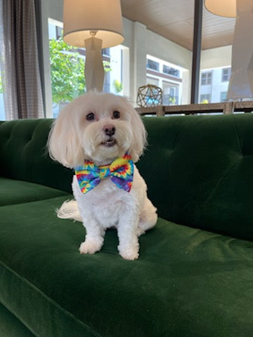 Tie Dye Bowtie Collar