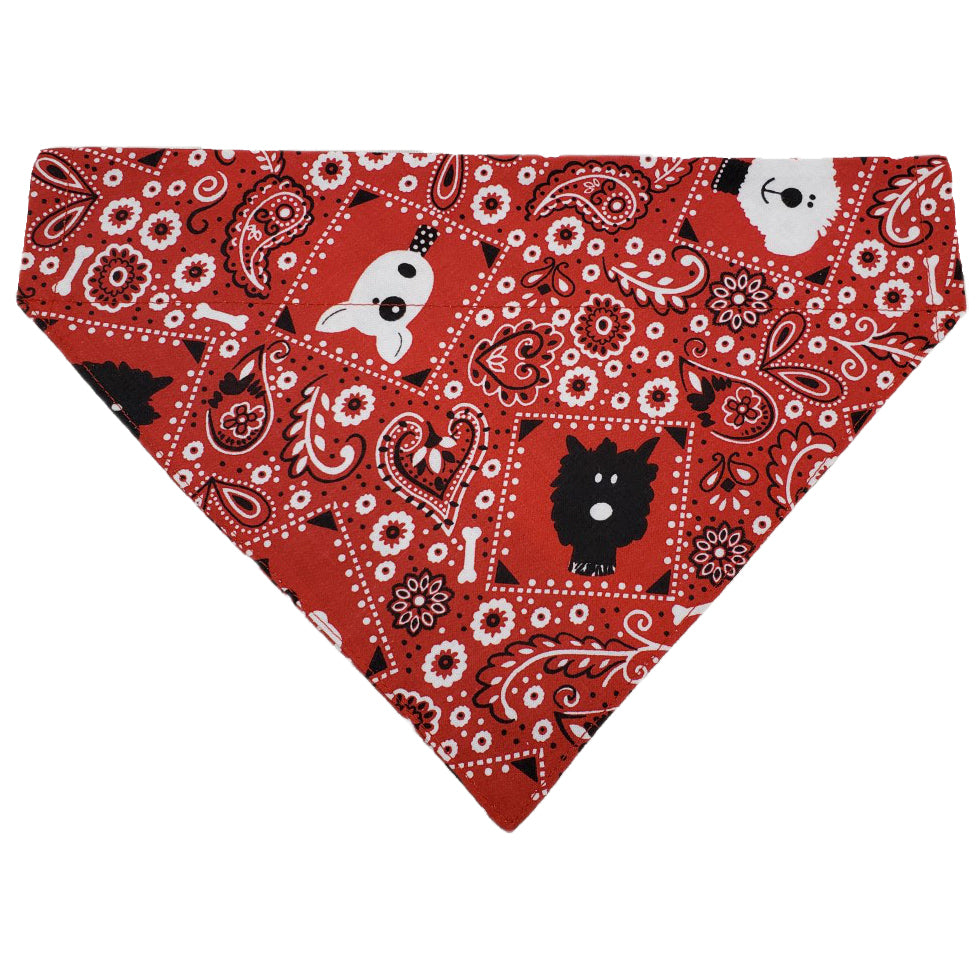 Paisley Pup Slip Over Collar Bandana