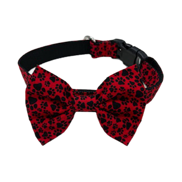 Paws on Red Bowtie Collar