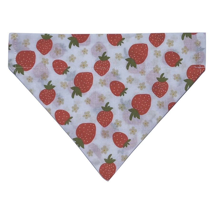 Strawberries Slip Over Collar Bandana