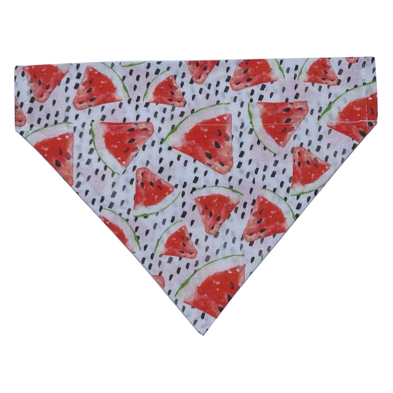 Watermelon Breeze Slip Over Collar Bandana