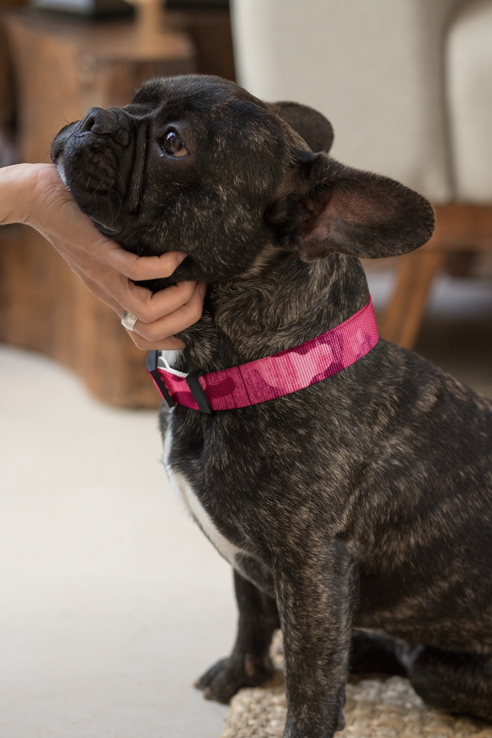 Pink Camo Collar