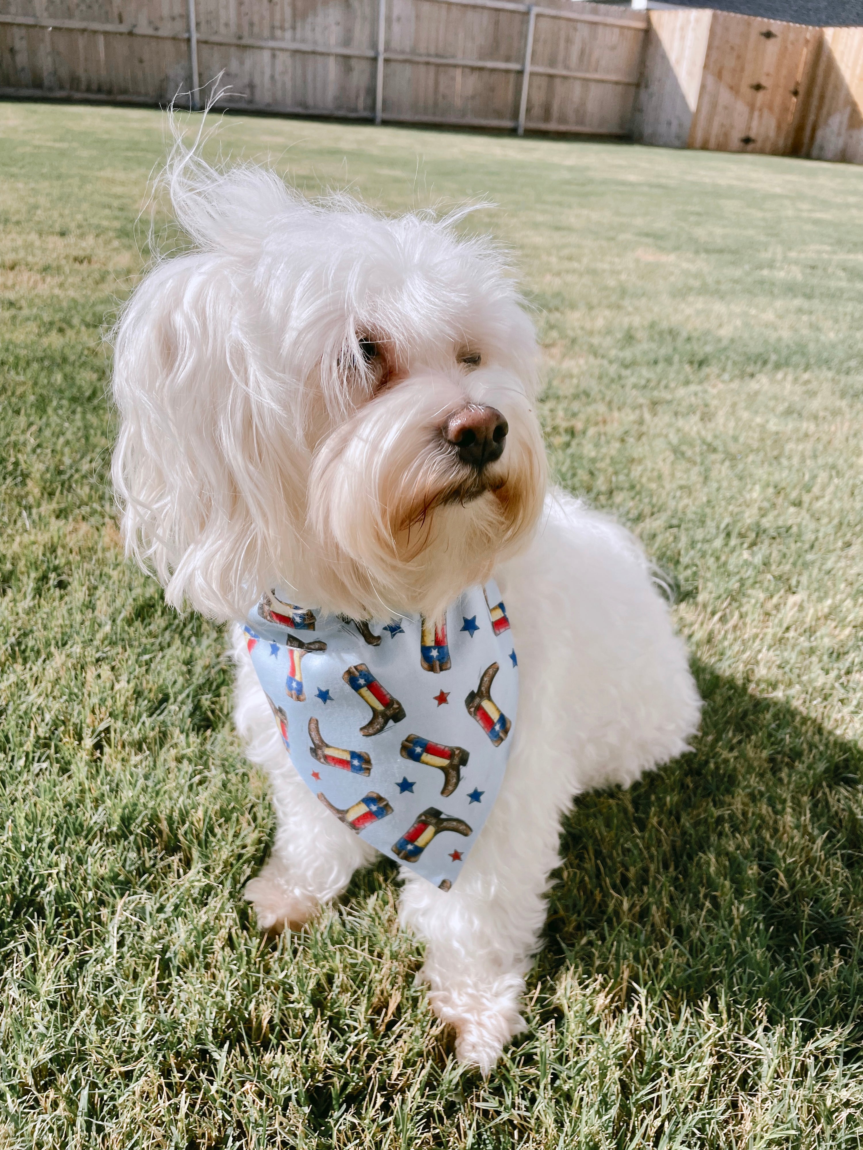 Texas Boot Slip Over Collar Bandana