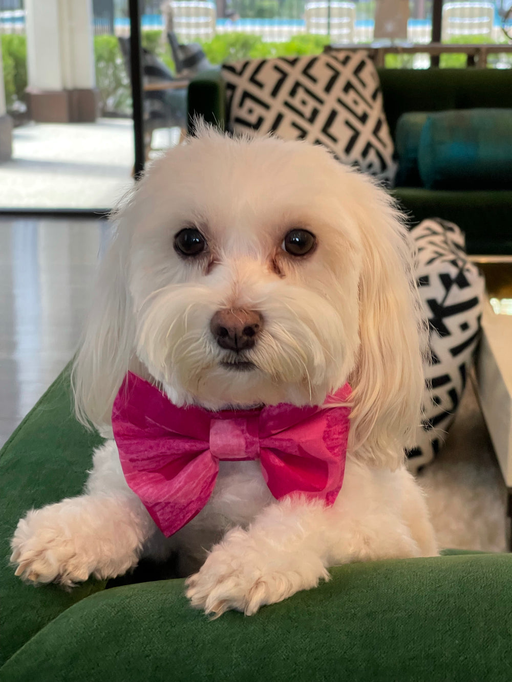 Pink Camo Bowtie