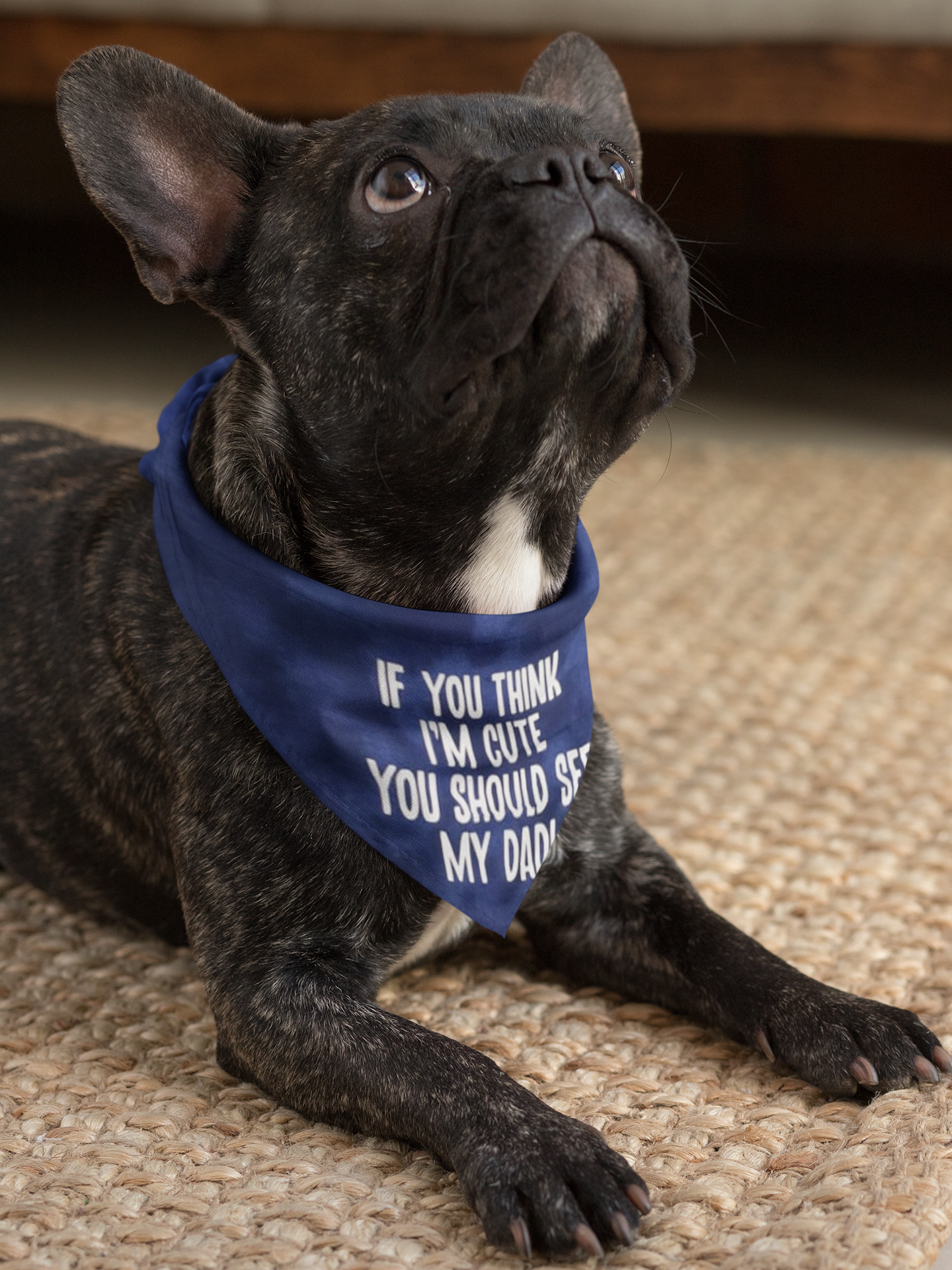 Smokey Blue - I'm Cute Slip-on Bandana