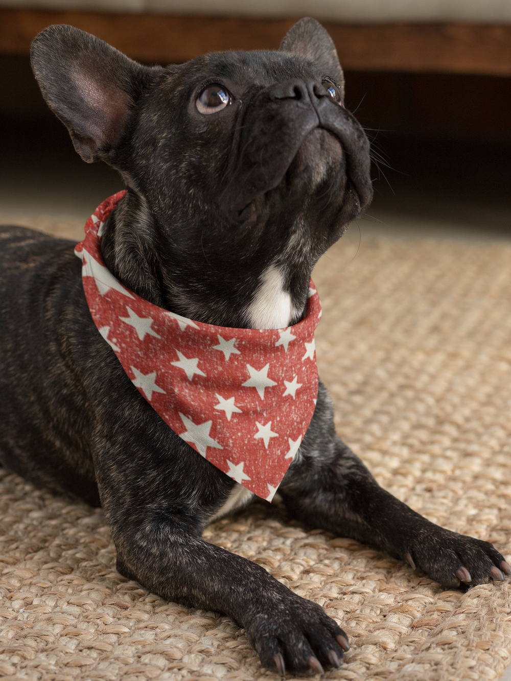 Rustic Stars Slip-on Bandana