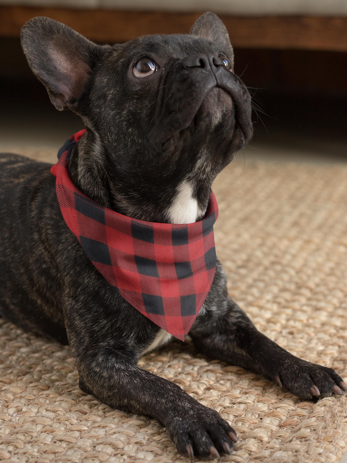 Red Buffalo Check Slip-on Bandana